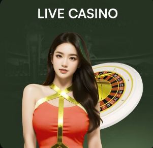 埃弗顿夏休期将把主场改为高尔夫球场，球迷可进场挥杆